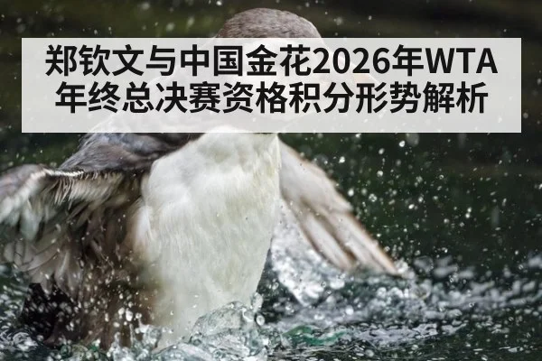 郑钦文与中国金花2026年WTA年终总决赛资格积分形势解析