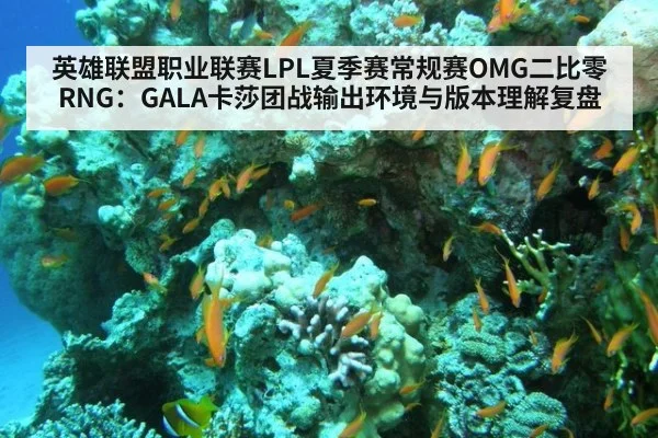 英雄联盟职业联赛LPL夏季赛常规赛OMG二比零RNG：GALA卡莎团战输出环境与版本理解复盘